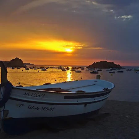 Lets Holidays Voramar *